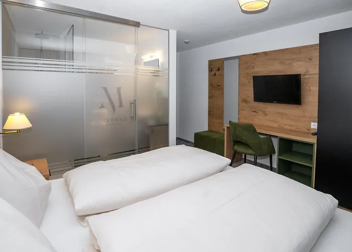 Mooswald 4* オプシュタイク